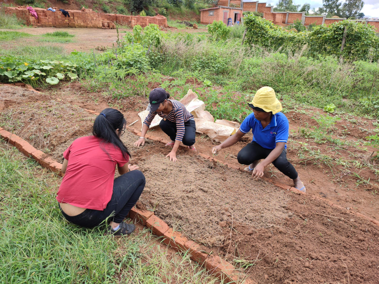 Preparing a nursery for future plantings